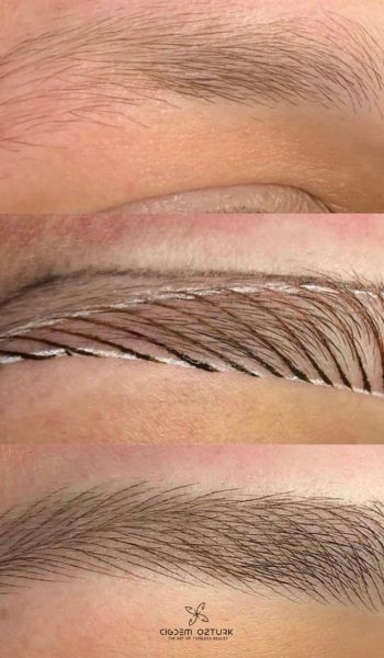 WhatsApp Image 2026-01-31 at 10.11.26