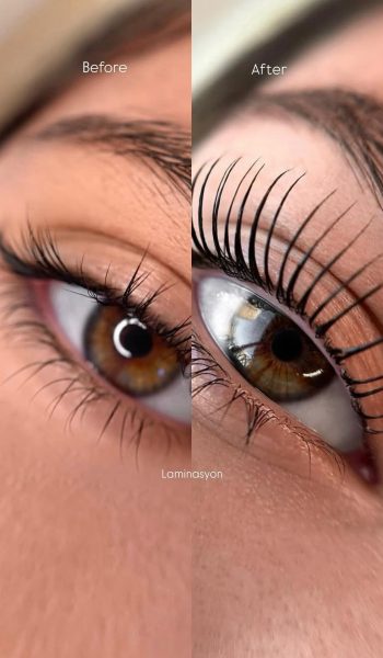 WhatsApp Image 2026-01-31 at 12.42.03