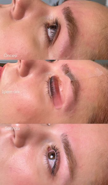 WhatsApp Image 2026-01-31 at 12.42.04 (1)