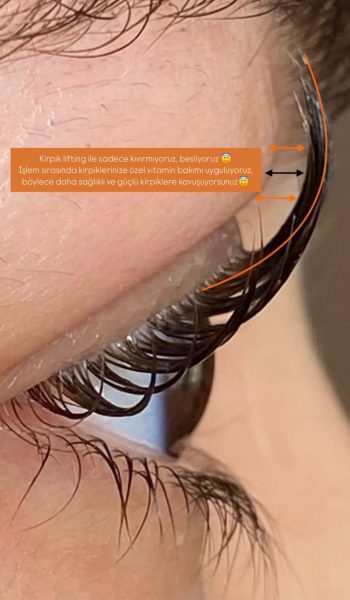 WhatsApp Image 2026-01-31 at 12.42.05 (1)